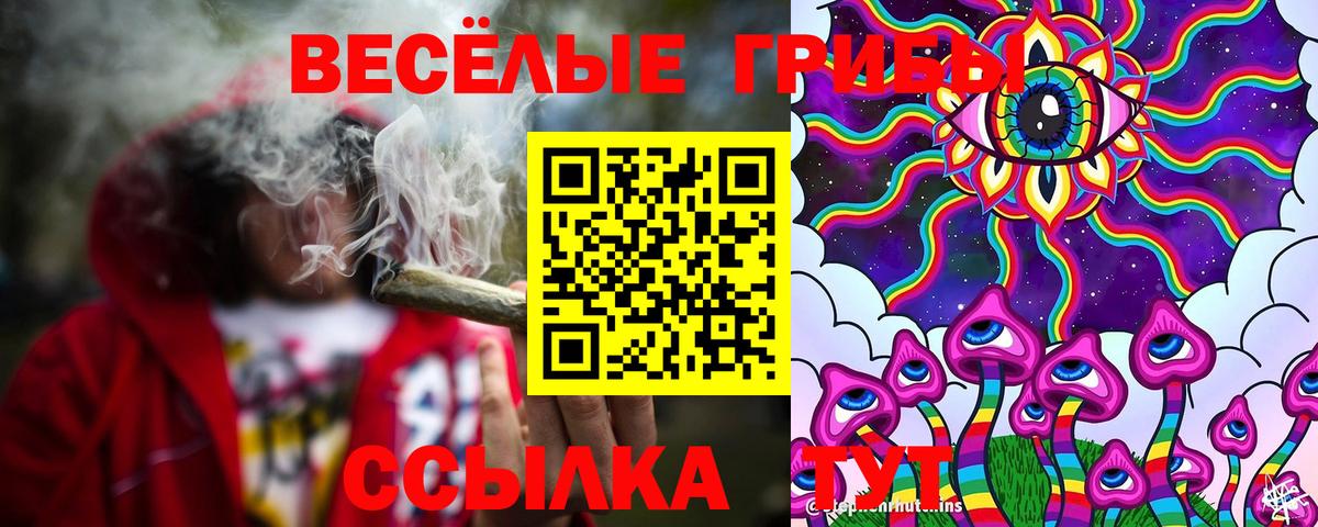 Псилоцибиновые грибы Psilocybe Зерноград