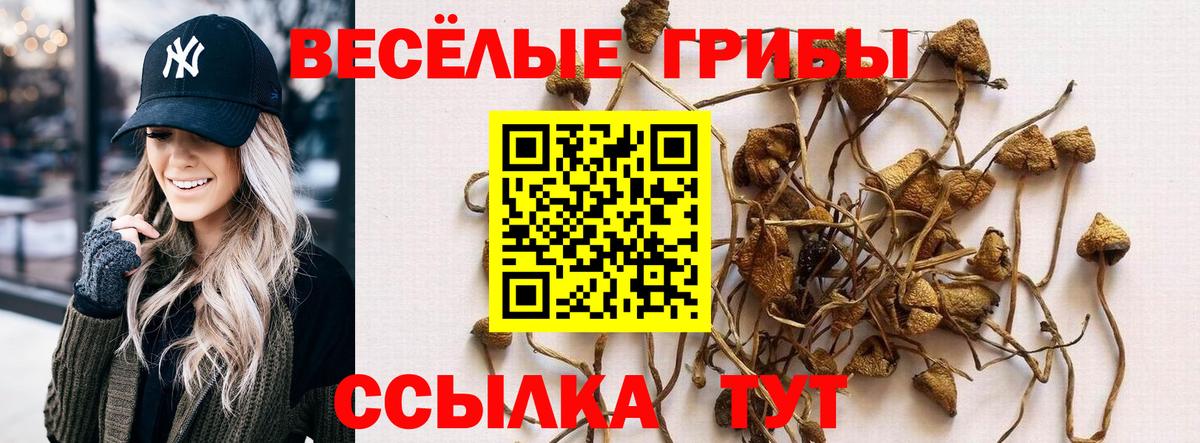 Галлюциногенные грибы MAGIC MUSHROOMS  Вход с VPN  магазин    Зерноград  Псилоцибиновые грибы ЛСД 
